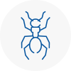 Ant Removals In Westcliff On Sea