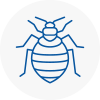 Bed Bug Extermination In Westcliff On Sea