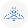 Bee Nest Removal Westcliff On Sea