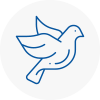 Bird Prevention Westcliff On Sea