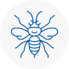 Westcliff On Sea Hornet Nest Removals