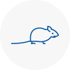 Mice Exterminators In Westcliff On Sea