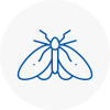 Moth Control Specialists In Westcliff On Sea