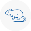 Rat Control Westcliff On Sea