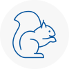 Westcliff On Sea Rodent Removals