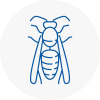 Westcliff On Sea Wasp Nest Removal